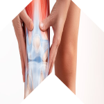 Total Hip Replacement